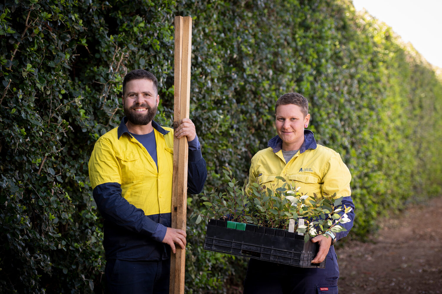 alt="man and woman with tools stand in front City of Adelaide hedge"
